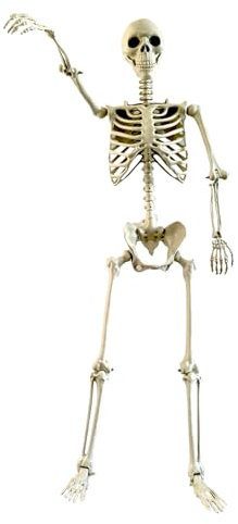 Skeleton Decoration - Movable Joints Full Size Skeleton Model - Weather-Resistant Garden Decor Spooky Photo Props for Holiday Haunted House Yard Terrace