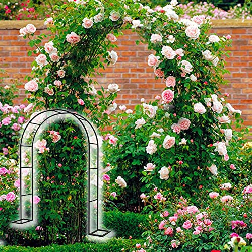 Arche de jardin en métal robuste avec revêtement en poudre en acier galvanisé, disponible en hauteur de 120 350 cm, finition noire, parfaite pour les plantes grimpantes et les décorations