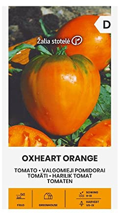 Zalia stotele | TOMATE COEUR DE BOEUF ORANGE des Graines | Graines de Légumes | Graines de Plantes | Graines de Jardin | 1 Paquet