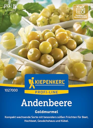 Kiepenkerl Andenbeerensamen Goldmurmel 1027000, Gemüsesaat | Besonders süße Früchte, aromatisch, für Freiland, Gewächshaus & Topf
