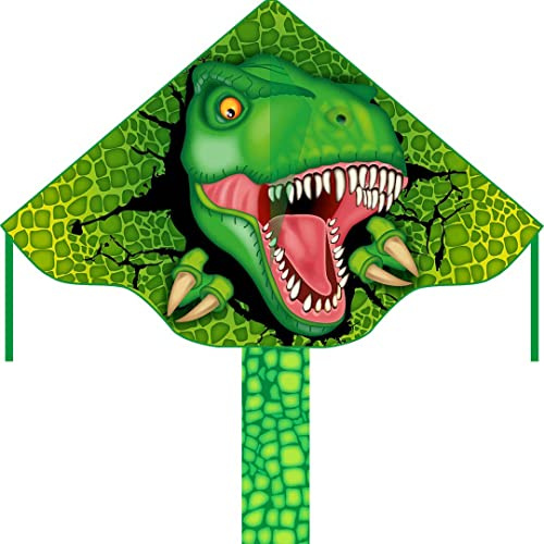 HQ Design Ecoline Simple Flyer 120 Kinderdrachen Flugdrachen Drachen zum steigen Lassen wenig Wind ab 5 Jahre 75x120cm+1.5m Drachenschwanz 17kp Polyesterschnur 25m auf Griff 2-5 Bft