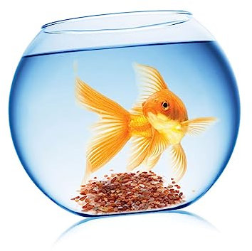 FOMIYES Rocas para pecera paisajismo Grava de Acuario Decoraciones de terrario Rocas de Jardin decoración Grava para Acuario Piedras de Grava Vidrio Cristal de mar Planta Decorar envase