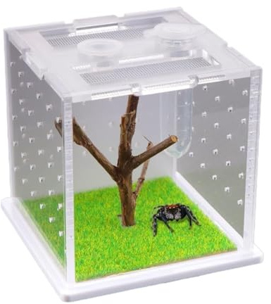 Faunarium Insektenbox Acryl Zucht Box Jumping Insect Habitat Schraffur Container Käfig Schnecken Terrarium
