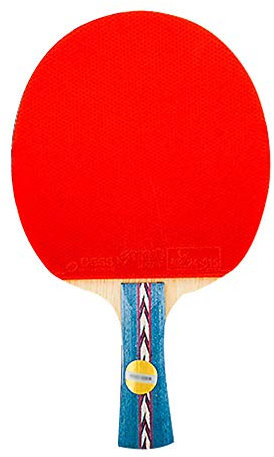 6-teiliges Set Tischtennisschläger-Geschenkboxen, 5 Schichten reines Holz, 8-Sterne-Profi-Ping-Pong-Schläger, tolles Geschenk/Einzelschläger/Langer Griff