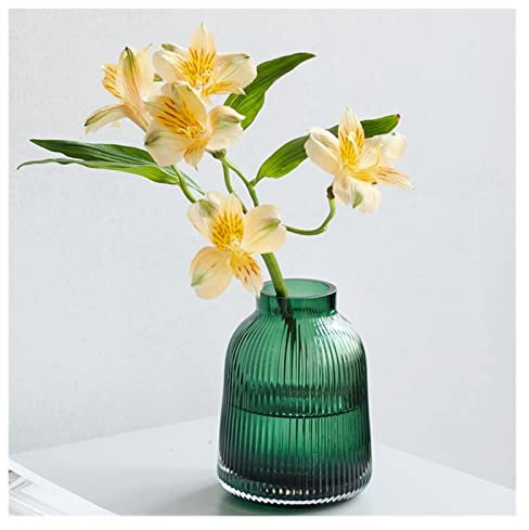 LICONG-2020 Vaso Vaso in Vetro Trasparente a Strisce Verticali Verdi, Fiori da Soggiorno, Ornamenti Decorativi di Coltura idroponica Vaso per Fiori(Piccolo)