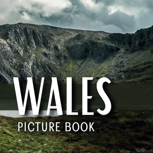 Wales Picture Book: Wordless Picture Book for Adults with dementia and alzheimer's