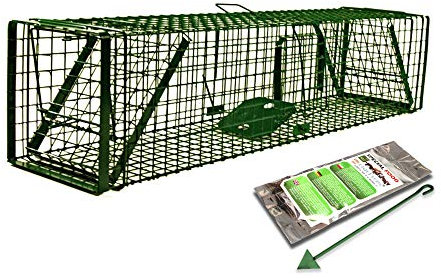 Holtaz Fallen Hardy Grün 150x34x34 cm 2 Türen Marderfalle Katzenfalle Fuchsfalle Biberfalle Tierfalle Kastenfalle Drahtfalle Waschbärfalle Mit Extra Köder