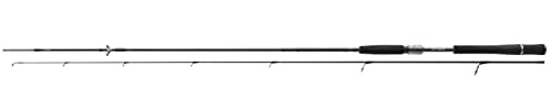 Daiwa Procyon Spin 2.40m 50-100g Spinnrute