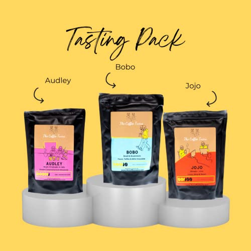 The Coffee Twins - Tasting Pack 3 x 250g - Ethical Speciality Coffee Beans - Freshly Roasted - Brazil Guatemala Blend - Whole Beans - 100% Arabica - Roasted in the UK (Grind: Cafetiere)