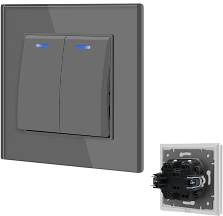 BSEED Interruptor de luz con LED Gris,10A 2 Gang 1 Vía Interruptor de luz empotrado con luz de control LED,Interruptor Luz de Pared con marco de cristal,Interruptor conmutador con clips para salón
