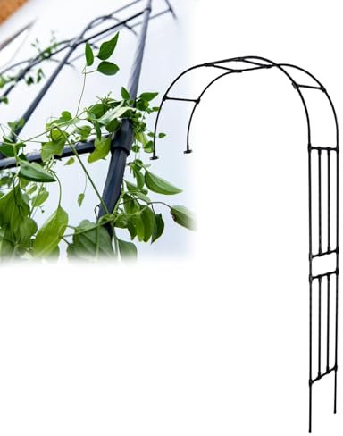 LIYI929GP Hoch 240/270/300cm Metall Rosenbogen Garten Halbbogen, Verzinkt Halb-rosenbogen Kunststoffbeschichtetes Stahlrohr Witterungsbeständig, Dauerhaft Außenbereich Wandbogen Halbrund Torbogen