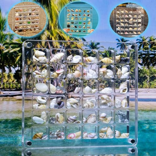 Acrylic Magnetic Seashell Display Box Seashell Storage Box 36 Grids Transparent Acrylic Seashell Storage Box Seashell Diamond Gemstone Beads Storage Display Organizer Box (36 Grids)