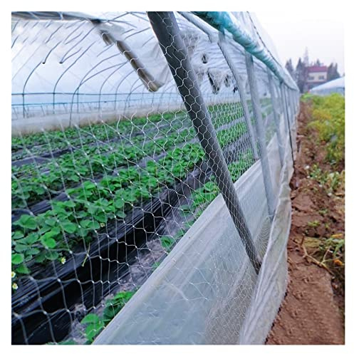 ZAVEIL Filet de Protection Anti-Oiseaux pour Potager, ne s'emmêle Pas, Maille de 2,5 cm, pour parterres de Fleurs/Terres agricoles/étangs à Poissons, Tissu en Nylon (Taille : 8 x 8 m)