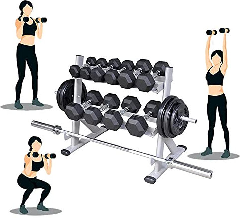 Hantelablage Kurzhantel, 2 Tier Hantel Langhantel Gewicht Ständer aus Stahl, Gym Hantel Rack, Professionelle Fitnessgeräte für Zuhause, Belastbar Bis 300 Kg, Nur Rack