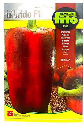 Semillas de pimiento morron Hibrido F1 Estrella Sobre 60 uds (2)
