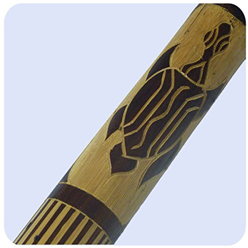 Regenmacher Rainstick Rainmaker bambu slagverk rytm regnrör Aborigin snidad (60 cm)