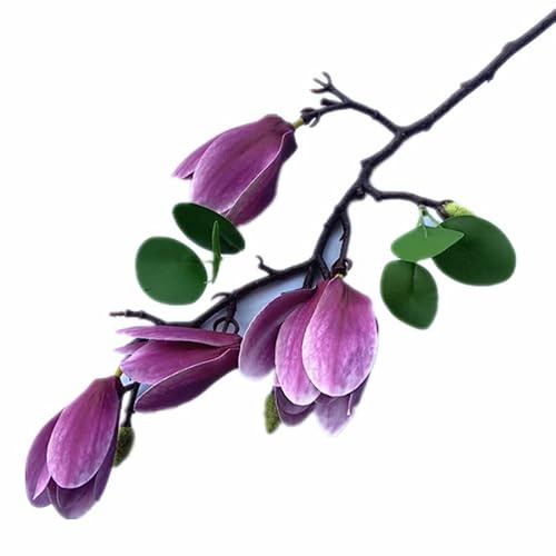 Gladiolus garden 4pcs Faux Magnolia Flower Branch Artificial PU Real Touch Magnolia Tree Stem with Green Leaf for Wedding Centerpieces Floral Arrangement (purple)