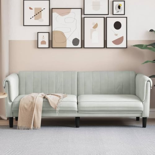 Willood 3-Sitzer Sofa Couch für Wohnzimmer,Wohnzimmersofa Wohnzimmermöbel Couch für Wohnzimmer,Wohnzimmersofa Wohnzimmermöbel Hellgrau Samt