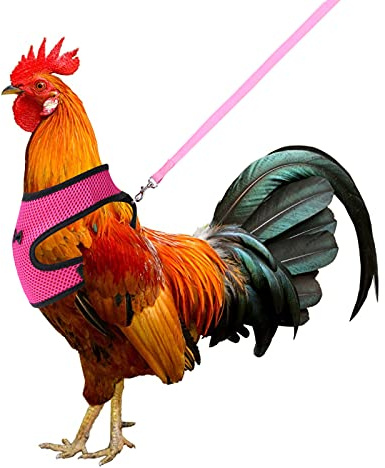 Molain Arnés de pollo con correa ajustable, transpirable, chaleco para mascotas, arnés para mascotas, para pato, ganso, gallina, caminata, mediano (rosa)