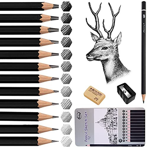 Surcotto Bleistift Set, 12 Zeichenstifte Set, 14B 12B 10B 8B 6B 4B 2B B HB H 2H 4H, Skizzienstifte mit Spitzer und Radiergummi, für Erwachsene Anfänger Professionelle zeichnen