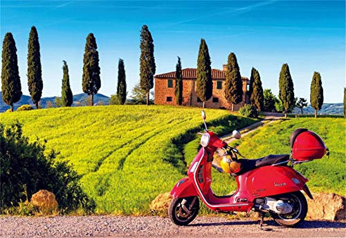 YEESAM ART DIY Ölgemälde Malen nach Zahlen Erwachsene Kinder, Grün Baum Gras Motorrad Zahlenmalerei ab 5 Öl Wandkunst (Motorrad, mit Rahmen)