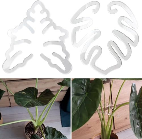 ohfruit Monstera Lot de 2 supports de grappin pour plantes Monstera pour plantes, fleurs, herbes, légumes, maintient les plantes apprivoisées et poussent verticalement pour fleurs, légumes, blanc