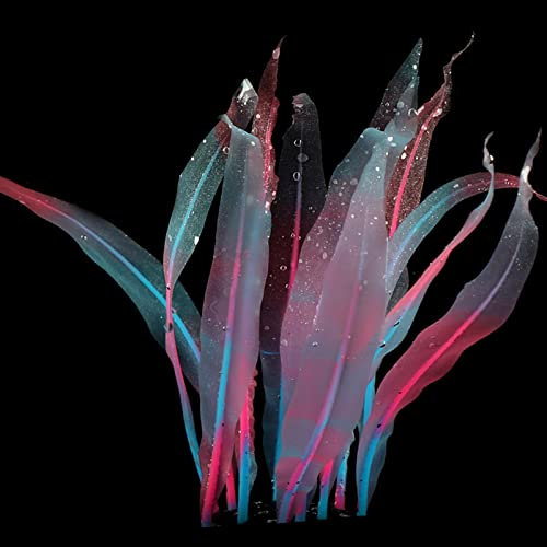 WYLZLKX Plante aquatique colorée réaliste en silicone pour aquarium, 17,8 cm de haut, facile à utiliser. Fuchsia