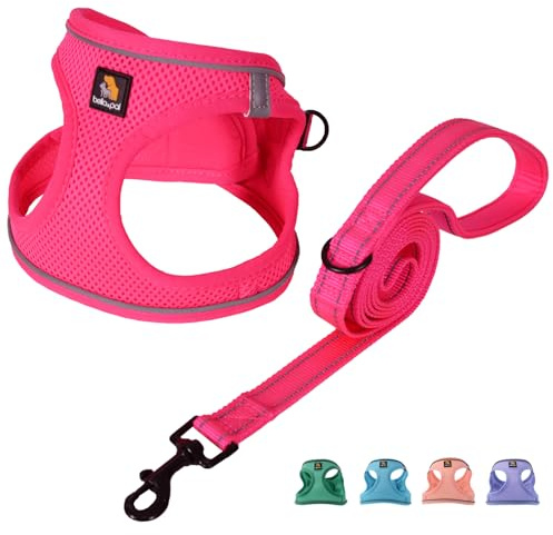 BELLA & PAL Pettorina Cane Taglia Piccola, Pettorine per Cuccioli con Guinzaglio, Step In Riflettente in Air Mesh Morbida e Traspirante, Imbracatura per Cani Poccoli, Fucsia, XS