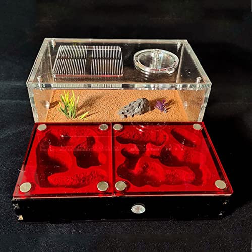 Ameisenfarm Ant Castle Acryl-gips-ameisenfarm Mit Pool Verbessert Die Wasserretention, Futterbereich Für Ameisen, Ameisen-futterbox beobachten