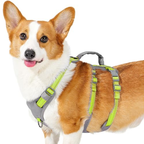 Huntboo Sicherheitsgeschirr Hund Ausbruchsicher, Panikgeschirr für Hunde, Reflektierendes Geschirr Hund mit Griff, Verstellbare Hundegeschirr für kleine, mittelgroße und große Hunde (Hellgrün,M)