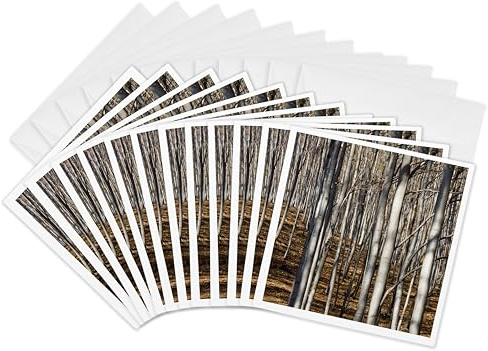 3dRose Greeting Cards - Common beech trees, Buekk National Park, Hungary - EU13 MZW0380 - Martin Zwick - 12 Pack - Trees