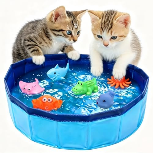 Katzen Pool 50x10cm, Faltbarer Pool Katzenspielzeug mit 6 Schwimmspielzeug, Mini Pool für Katzen Hunde, Tragbares Swimmingpool, Hundepool Klein für Sommer