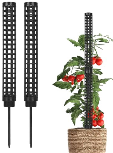 Générique Support pour en Mousse – Accessoires d'escalade Monstera, Outils De Jardinage Polyvalents Respirants, Fournitures De Pots De Fleurs D'intérieur Et D'extérieur | Support De Port