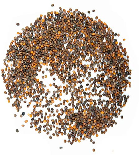 Sobre de Semillas de Rúcula para Cultivar en el Hogar