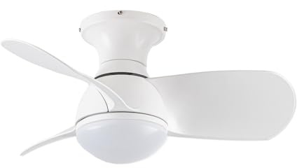 wonderlamp Ventilador de techo pequeño ø64cm silencioso LED Mancado Blanco CCT 3000-4000-6000K, Intensidad Regulable 20W