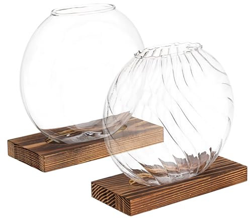 NULYLU 2pièces Lot de Vases Verre pour Plantes Terrarium Transparent Support pour Plantes Hydroponiques