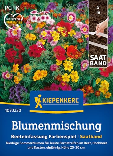 Kiepenkerl Blumensamen-Mischung Beeteinfassung Farbenspiel 1070230 | Saatband für ein buntes Farbspiel in Ihrem Hochbeet, einjährig