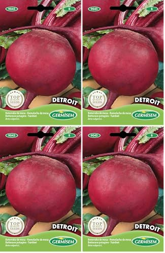 Germisem Detroit Semillas de Remolacha 5 g (Paquete de 4)
