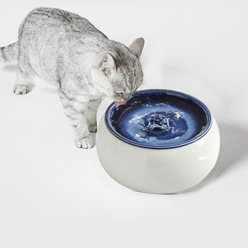 Fuente De Cerámica para Gatos De 1,5 L (50,8 Oz), Dispensador Automático De Agua para Perros Y Gatos con Bomba Silenciosa Y Filtro De Carbón Activado, Fácil De Limpiar