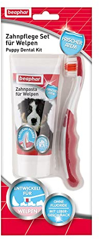 Beaphar Zahnpflege Set für Welpen (Zahnpasta 50g + 1 Bürste)