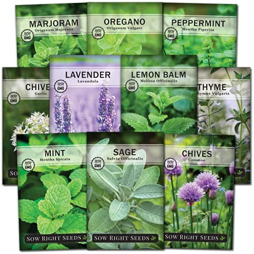 Sow Right Seeds - Perennial Herb Garden Seed Collection - Mint, Lavender, Sage, Common Chives, Lemon Balm, Garlic Chives, Thyme, Peppermint, Oregano and Marjoram - Non-GMO Heirloom Seeds for Planting