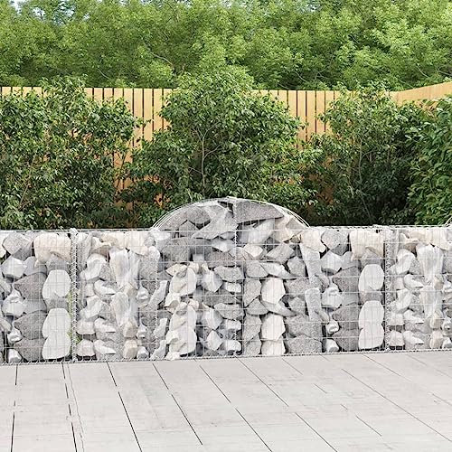 Vasi per Piante da Esterno Cassette per la Coltivazione di Fiori Cesto Gabbione ad Arco 200x30x80/100 cm Ferro Zincato Adatta per Corridoi, Giardini, Parchi, Balconi