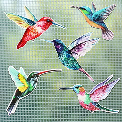 10 Stück Aquarell Kolibri Fliegengittertür Magnete Dekorative Flexible Doppelseitige Magnetische Aufkleber für Bildschirmtür Balkontür Dekoration und Durchlaufschutz (Frisch Stil)