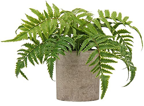 Hollyone Artificial Boston Fern Plant in Pot Fake Plants Potted, Small Decorative Artificial Plants Indoor, Faux Fern Grass for Home Kitchen Table Bedroom Decorations