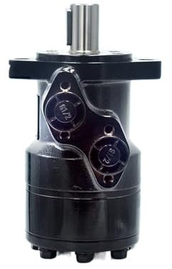 Motore Idraulico, 2 Fori BMR-50/80/100/125/160/200/250/315/400/500, Coppia Elevata, Bassa Velocità, Motore A Olio (Color : 2-hole, Size : BMR-50)