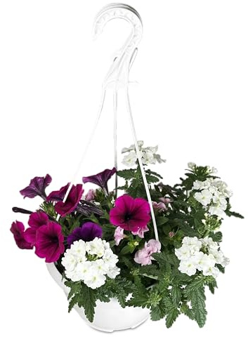 MUNTRADE Trixi Maceta Colgante, Flores Blancas y Fucsias Vivas | Composición Natural con Petunias, Calibrachoas y Verbenas, Decoración Colorida para Balcones, Jardines y Terrazas