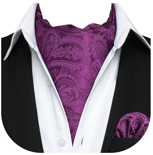 HISDERN Ascot Homme Violet et Mouchoir Mariage Cravate Ascots à Motif Cachemire Élégant Foulard Soie pour Hommes et Carré de Poche