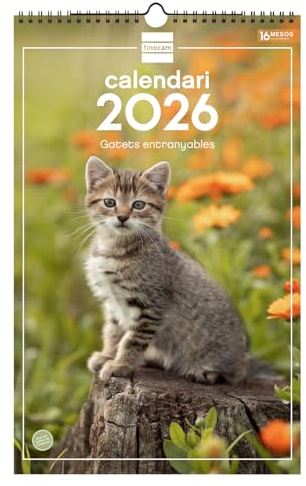 Finocam - Calendrier mural 2026 25 x 40 cm Mois vue janvier - Décembre 2026 + Sep.- Déc. 2025 (4 mois) réduits | Calendrier 2026 | Images Chatons - Catalan