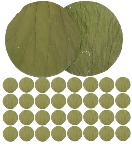 Hohopeti 100pièces Lotus Séché Feuilles pour Décoration Plateau Service Cuisson Vapeur Garniture Sushi Emballage Alimentaire Dim Sum