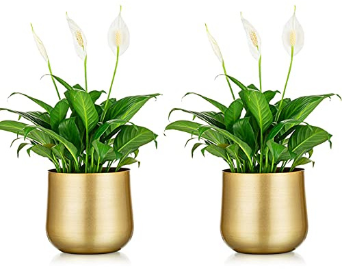 Nuptio 2 Pcs Plant Pot Gold Vase Metal Flower Pot Vase with Drainage Hole, Modern Storage Organizer Decorative Gifts for Wedding Indoor Outdoor Living Room Balcony Decoration Floor Display